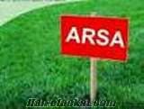 Arsa